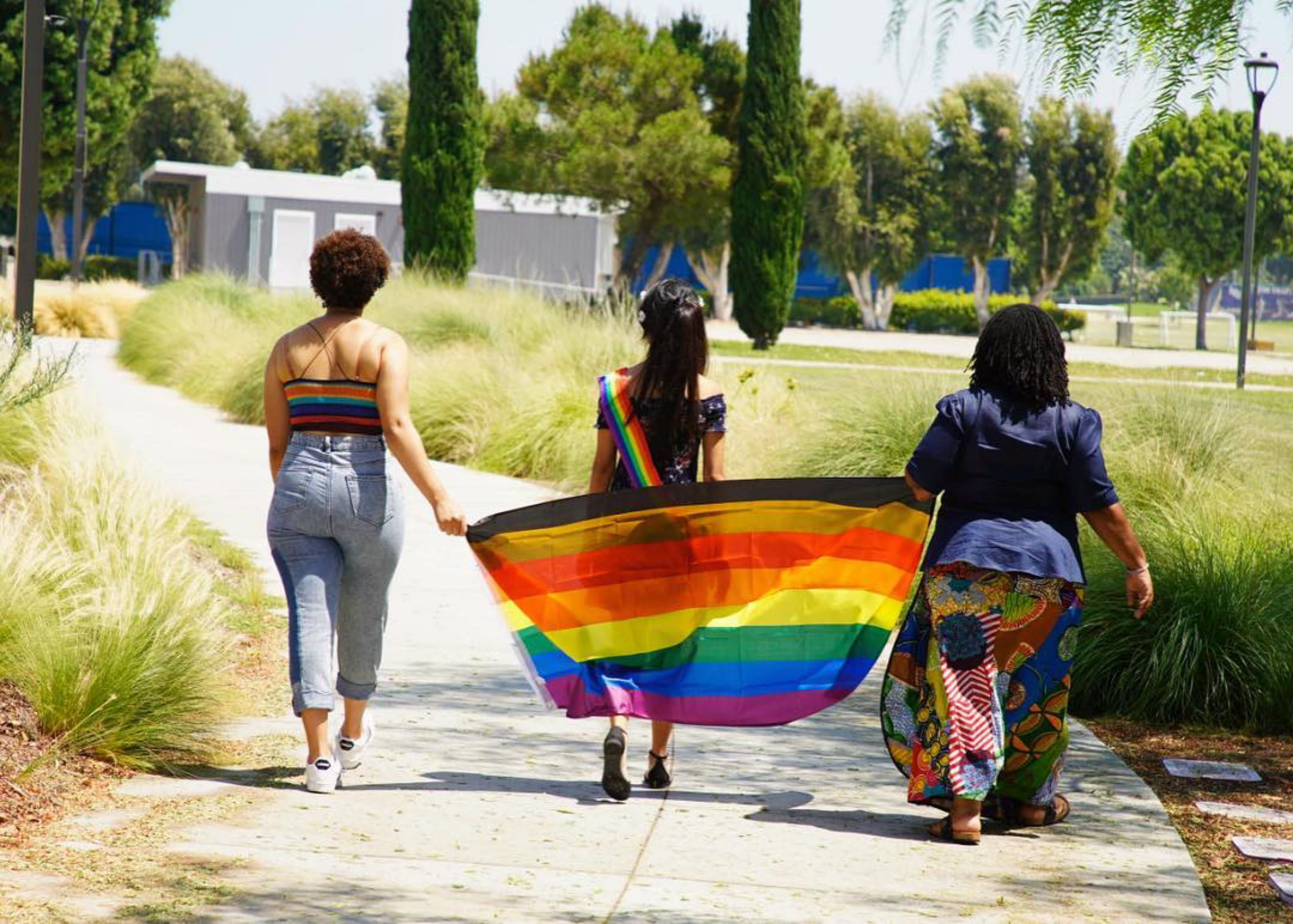 What is LGBTQIA+?