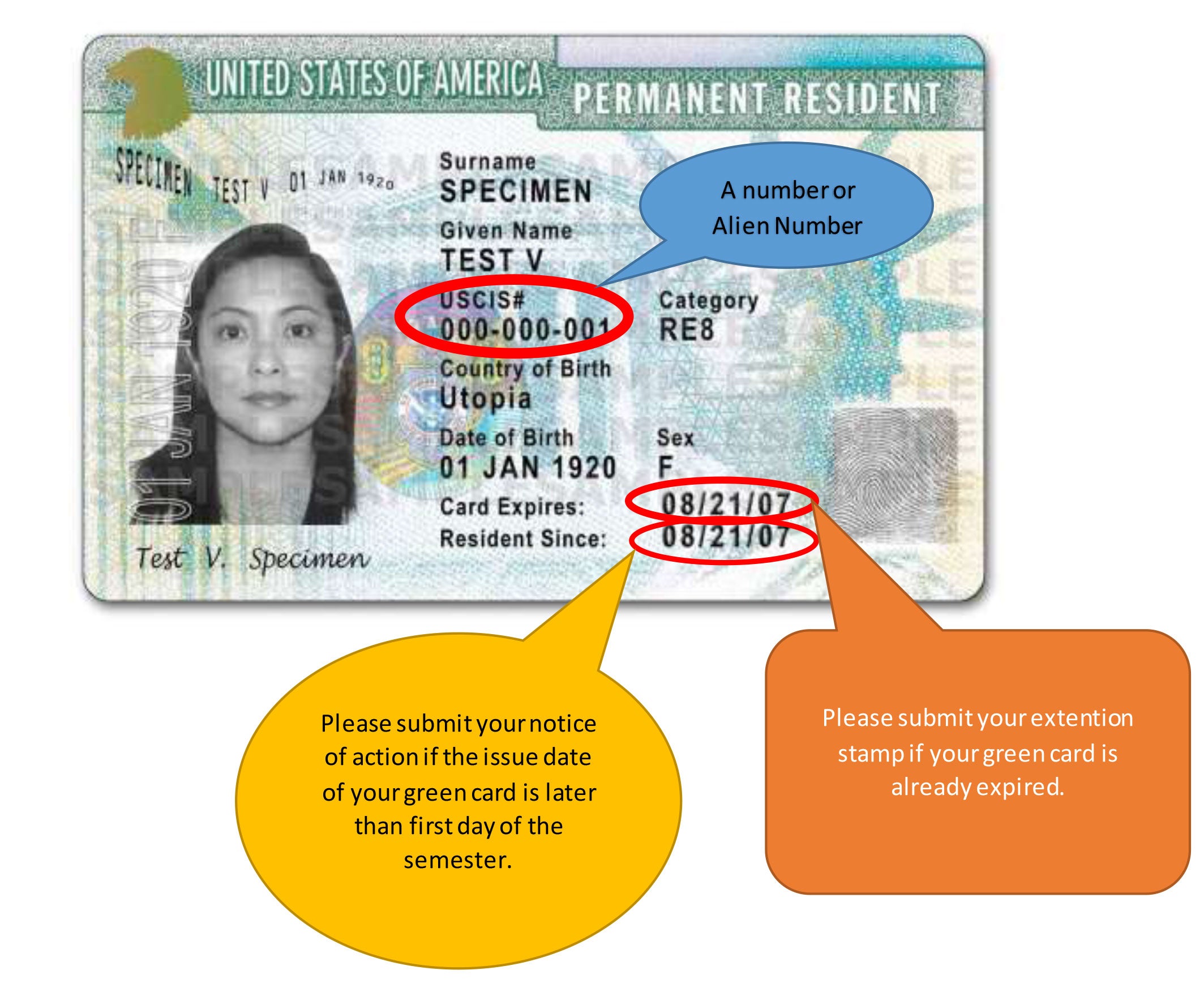A number or Alien Number. Submit your card expiration date and residence since date