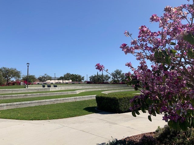 live-oak-terrace.jpg