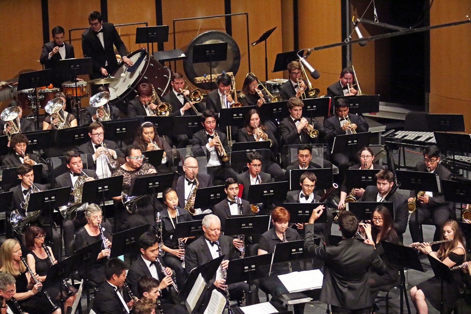 Wind Symphony in concert in the IVC Performing Arts Center.