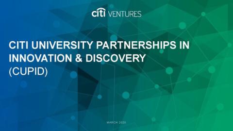 CITI University Partnerships in Innovations and Design Cover