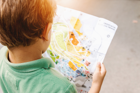 Young boy looking at a map 