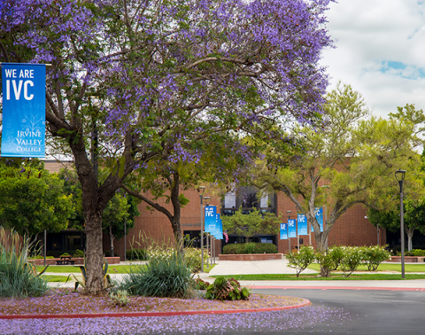 Student Services Center Quad 