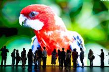 Preview Night attendees standing in front of a video wall in the Performing Arts Center 